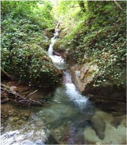 FIUME TIRO